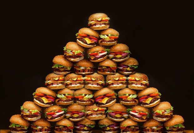 hamburguer 7110676 640